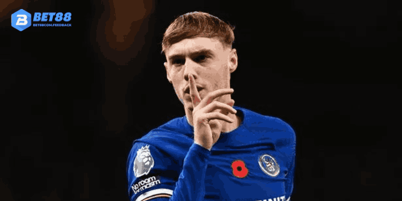 Những cái tên nổi bật 2024