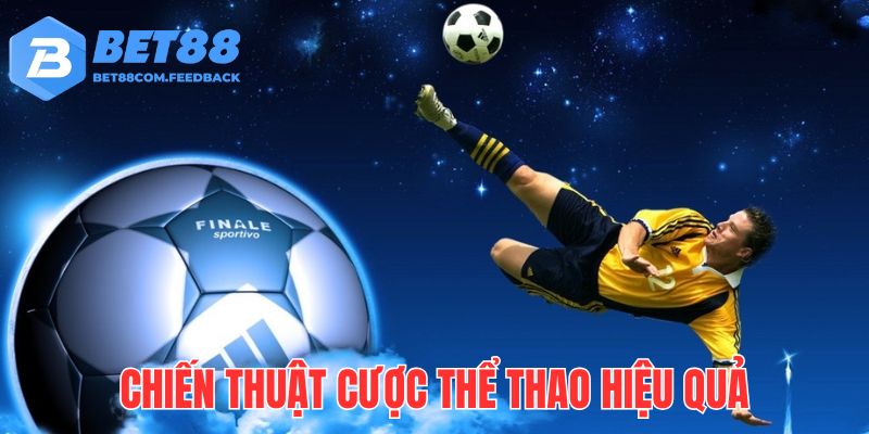 Bỏ túi những chiến thuật cược hiệu quả từ giới chuyên gia