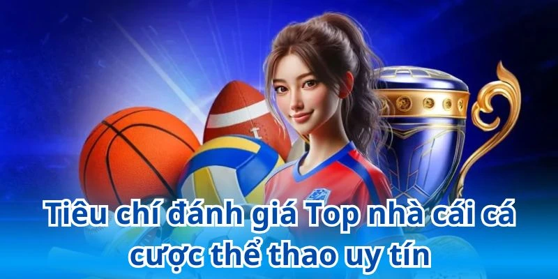 Những tiêu chí vàng đánh giá nhà cái thể thao uy tín